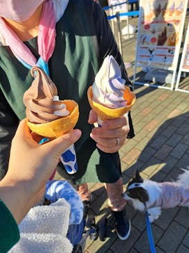 マザー牧場に投稿された画像（2022/11/26）