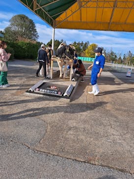 マザー牧場に投稿された画像（2022/11/26）