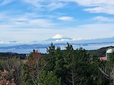 マザー牧場に投稿された画像（2022/11/26）