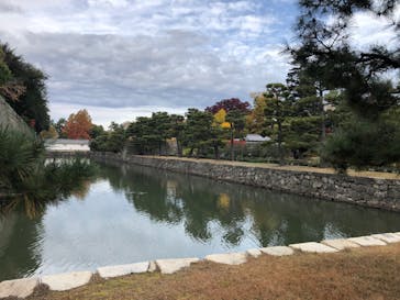 元離宮二条城に投稿された画像（2022/11/26）