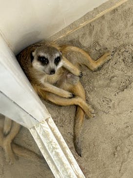 アニタッチみなとみらいに投稿された画像（2022/11/26）