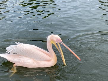 沖縄こどもの国に投稿された画像（2022/11/26）
