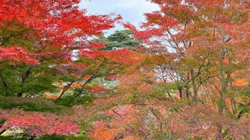 西武園ゆうえんちに投稿された画像（2022/11/26）