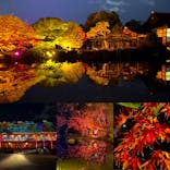 NAKEDヨルモウデ2022平安神宮に投稿された画像（2022/11/26）