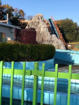 日本モンキーパークに投稿された画像（2022/11/26）