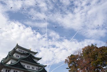 名古屋城に投稿された画像（2022/11/26）
