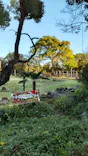 天王寺動物園に投稿された画像（2022/11/26）