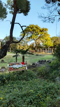 天王寺動物園に投稿された画像（2022/11/26）