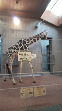 天王寺動物園に投稿された画像（2022/11/26）