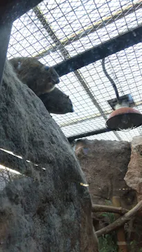 天王寺動物園に投稿された画像（2022/11/26）