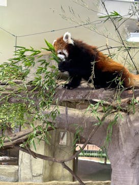 那須どうぶつ王国に投稿された画像（2022/11/26）