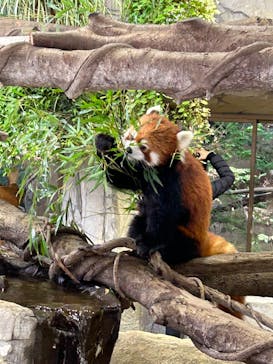 那須どうぶつ王国に投稿された画像（2022/11/26）