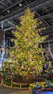 安城産業文化公園デンパークに投稿された画像（2022/11/26）