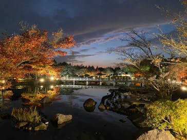 国営昭和記念公園 秋の夜散歩に投稿された画像（2022/11/26）