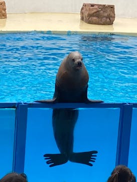 伊豆・三津シーパラダイスに投稿された画像（2022/11/26）