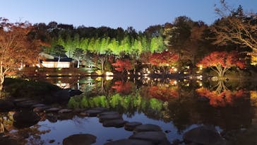 国営昭和記念公園 秋の夜散歩に投稿された画像（2022/11/26）