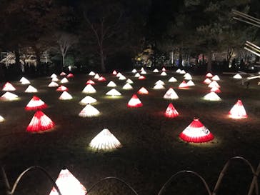 国営昭和記念公園 秋の夜散歩に投稿された画像（2022/11/26）