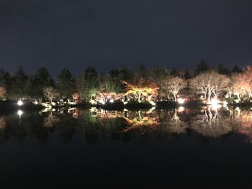 国営昭和記念公園 秋の夜散歩に投稿された画像（2022/11/26）