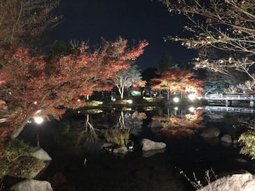 国営昭和記念公園 秋の夜散歩に投稿された画像（2022/11/26）