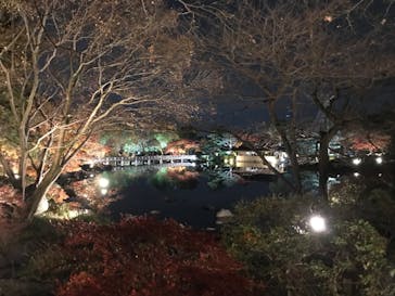 国営昭和記念公園 秋の夜散歩に投稿された画像（2022/11/26）