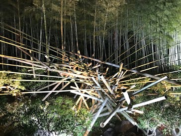 国営昭和記念公園 秋の夜散歩に投稿された画像（2022/11/26）