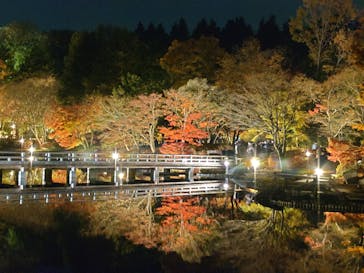 国営昭和記念公園 秋の夜散歩に投稿された画像（2022/11/26）