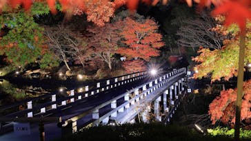国営昭和記念公園 秋の夜散歩に投稿された画像（2022/11/26）