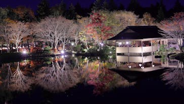 国営昭和記念公園 秋の夜散歩に投稿された画像（2022/11/26）