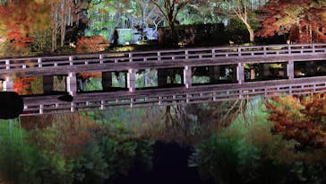 国営昭和記念公園 秋の夜散歩に投稿された画像（2022/11/26）