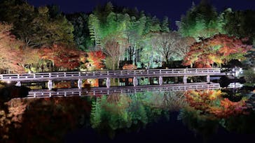 国営昭和記念公園 秋の夜散歩に投稿された画像（2022/11/26）