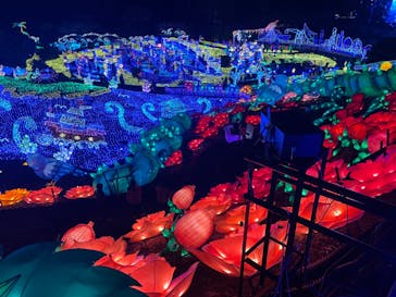 伊豆ぐらんぱる公園に投稿された画像（2022/11/26）