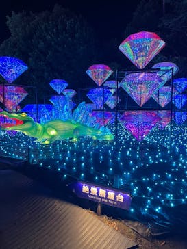 伊豆ぐらんぱる公園に投稿された画像（2022/11/26）