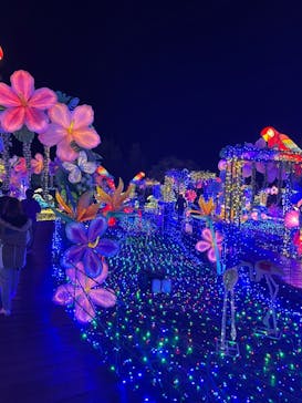 伊豆ぐらんぱる公園に投稿された画像（2022/11/26）