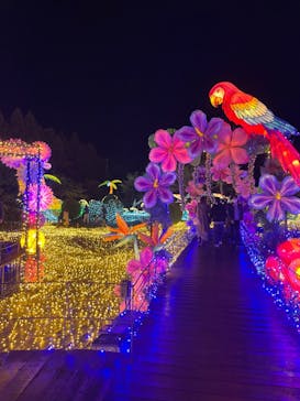 伊豆ぐらんぱる公園に投稿された画像（2022/11/26）