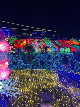 伊豆ぐらんぱる公園に投稿された画像（2022/11/26）