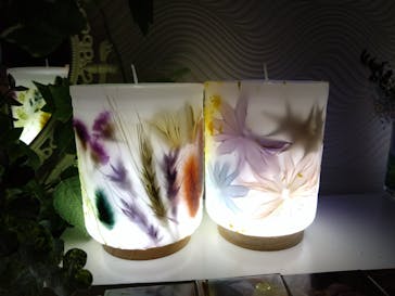 ずこうしつ〜sugamo〜に投稿された画像（2022/11/26）