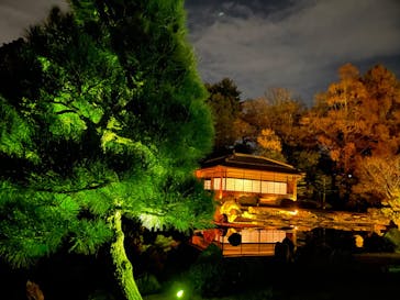 NAKED FLOWERS 2022 秋 世界遺産・二条城に投稿された画像（2022/11/26）