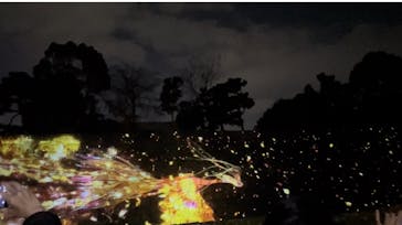 NAKED FLOWERS 2022 秋 世界遺産・二条城に投稿された画像（2022/11/26）