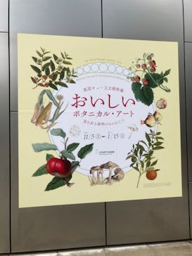 おいしいボタニカル・アート　食を彩る植物のものがたり(SOMPO美術館)に投稿された画像（2022/11/26）