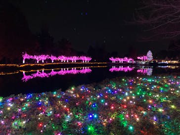 東武動物公園に投稿された画像（2022/11/26）
