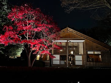 江戸東京たてもの園に投稿された画像（2022/11/26）