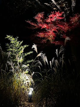 江戸東京たてもの園に投稿された画像（2022/11/26）