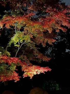 江戸東京たてもの園に投稿された画像（2022/11/26）