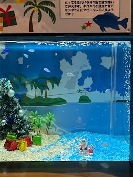 大分マリーンパレス水族館 「うみたまご」に投稿された画像（2022/11/26）