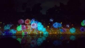 NAKED FLOWERS 2022 秋 世界遺産・二条城に投稿された画像（2022/11/26）