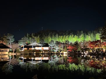 国営昭和記念公園 秋の夜散歩に投稿された画像（2022/11/26）