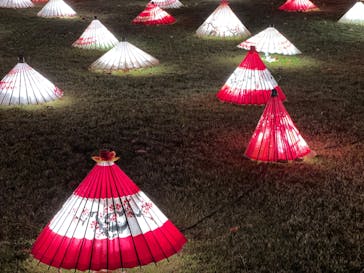 国営昭和記念公園 秋の夜散歩に投稿された画像（2022/11/26）