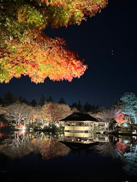 国営昭和記念公園 秋の夜散歩に投稿された画像（2022/11/26）