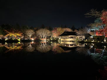 国営昭和記念公園 秋の夜散歩に投稿された画像（2022/11/26）