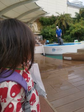 サンシャイン水族館に投稿された画像（2022/11/26）